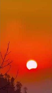 sun set #sunset #evergreenhits