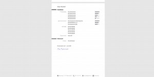 Resume/cv/profile/career History/professional Career Template for Application as Editable Microsoft Word File - Etsy Australia