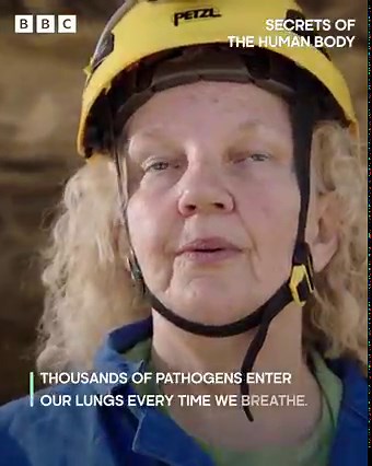 40K views · 1.4K reactions | We breathe in thousands of harmful pathogens every day. Luckily, our lymphatic system remembers all of its previous fights and foes and sends killer cells to eliminate any potential threats. | BBC Earth | Facebook