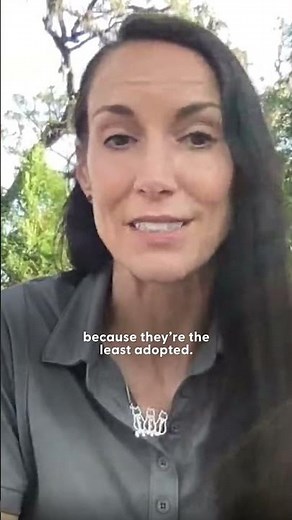 Woman Flies 15 Hours To Adopt Amputee Cat | The Dodo