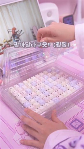 키키와/커스텀키보드/데스크테리어/데스크셋업 on Instagram: "요즘 키캡 클라스.. 소신발언 합니다. (qk65 mk3) 키캡구입처:스웨그키 #keyboard #customkeyboard #커스텀키보드 #키캡놀이 #키캡"