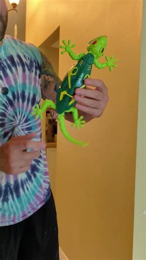 This thing climbs on walls, ceilings, windows and pretty much anything that has a smooth surface! 😅