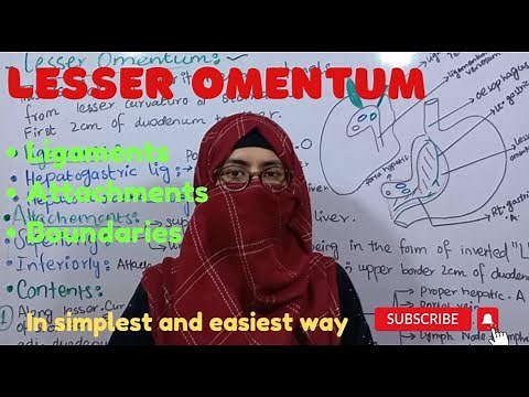 Lesser Omentum | Attachments | Ligaments | Contents |abdomen and peritoneum |@ayeshamedicaleducation