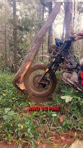 AWD 2x2 Front Wheel vs Pine Tree 😳🔥 (Insane Torque Test)