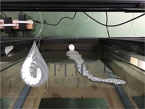 How to Make Your Own HMF (Hamburger Matten Filter)