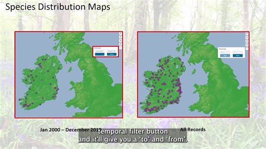 Missed our webinar on Wednesday? Don’t worry — you can still catch it! We took a tour through biodiversity maps, showing how to submit records, filter maps to extract the data you need, and how your data helps support conservation around the world with Global Biodiversity Information Facility. The full recording is now ready to watch back whenever it suits you (also available on our YouTube Channel): https://vimeo.com/1121922025 | Biodiversity Ireland