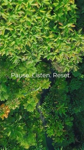 Rainforest Sound Immersion | Hawai‘i Botanical Garden