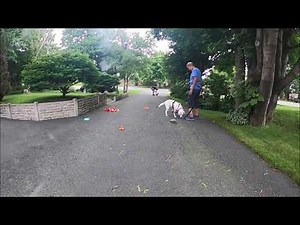 Control Unleashed LATTE