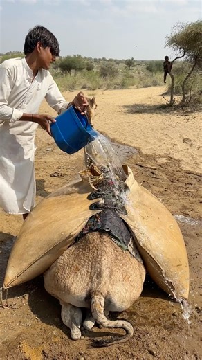 العطش في القرن الحادي والعشرين معاناة لا تنتهي