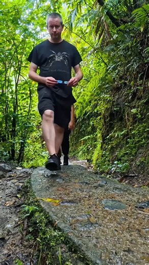 Hiking the jungle in the rain looking for tarantulas. #tarantula #spider #puertorico #jungle #nature | The Tarantula Collective
