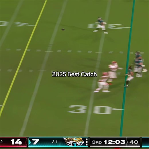 NFL 2025 Best Catch Highlights