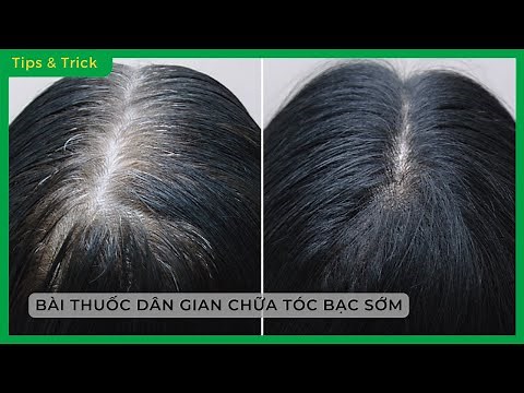 Bài thuốc TRỊ TÓC BẠC SỚM theo KINH NGHIỆM DÂN GIAN hiệu quả NGAY TẠI NHÀ - Bách hoá XANH