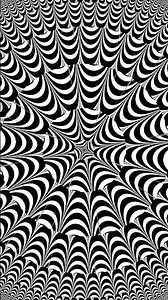 Infinite Patterns: The Quiet Waltz of Black & White Fractals | Follow the Flow