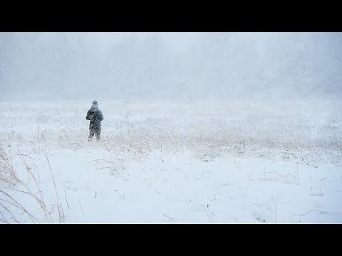 The Snow Man by Wallace Stevens