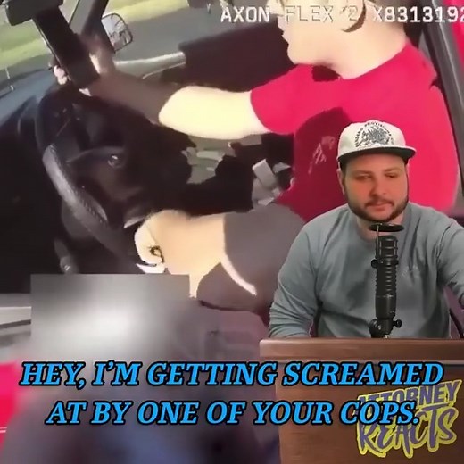 Let's react to this car arrest #attorneyreacts #police #lawyerreacts #cararrest #ReactionVideo #law #viralreel #reel | Best of True Crime