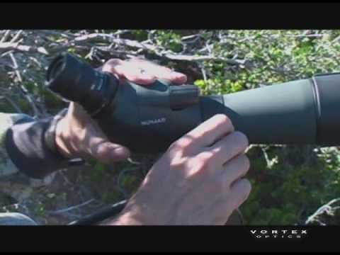 Spotting scopes: angled vs straight