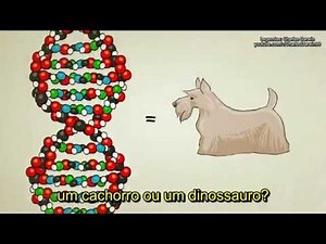 O que é DNA e Como ele Funciona