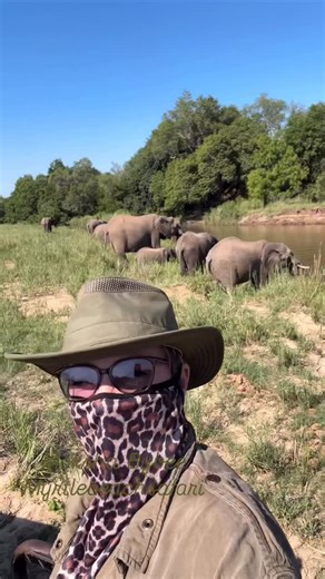 Moksha Bybee | #dream #africa #safari | Instagram