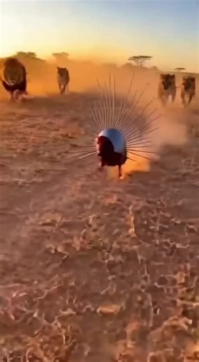 Exploring Unique Home Designs Across the United States