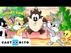 Taz’s Spin Crisis 🌀 | Baby Looney Tunes | Cartoonito