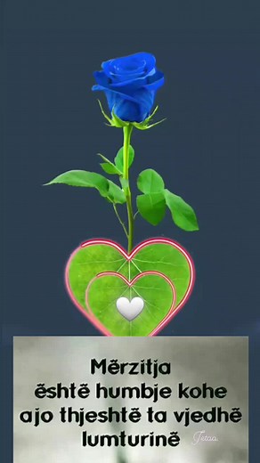 ♡Jetaa♡ on TikTok