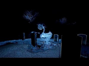 Perception Official Launch Trailer