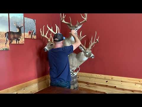 Single, Double, Corner & Pedestal Deer Mount Hanging Systems | Full Range Hanging Systems