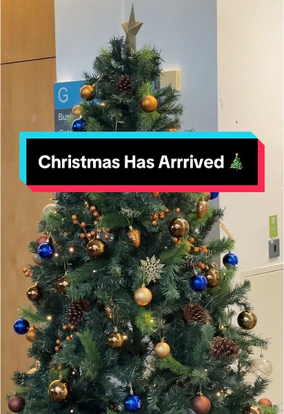 🎄 Only 12 days to go until Christmas Day! At Belfast Met, we are decking the halls for the most wonderful time of the year. ❄️ Have you seen our new Belfast Met baubles on the trees around our campuses? Let us know below, do you have your Christmas decorations up yet? 🎅 #Christmas #ChristmasTikTok #ChristmasTree #Belfast #BelfastTikTok #BelfastMet