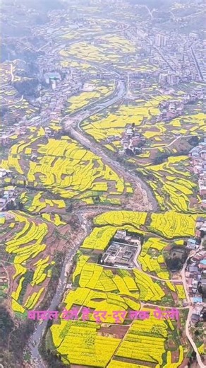 🇨🇳 China's Golden Valley 🌼 | Nature's Hidden Paradise 😍