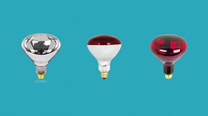 Feit Electric 250-Watt BR40 Clear Reflector E26 Heat Lamp Dimmable 120-Volt Infrared Incandescent Light Bulb (1-Pack) 250R40/1/HDRP