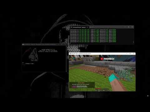 SILENCE C2 VS Minecraft Server | CHEAP PRICES | BEST BOTNET & C2 2024