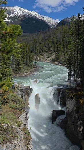 Sunwapta Falls 🇨🇦 | One of Alberta's Most Beautiful Waterfalls