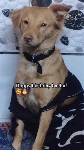 happy birthday roxy 🎂🎂🎉🎉🎈