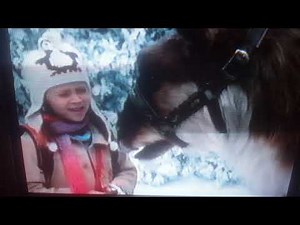 Opening and closing to finding nemo 2003 VHS