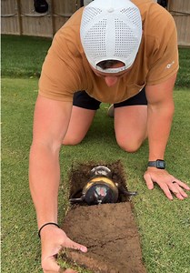 Lawn Renovation: Genie’s Lamp or Time Capsule Discovery?