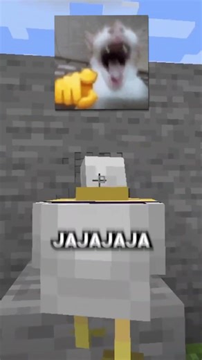 I MADE A HOLE IN CHICKEN 🥵🐔 #minecraft #laos