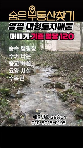 26숏04) 주인분이 깊은 고민 끝에 금액을 낮추셨습니다! 용문 1등급 완경사 대형토지 매물(양평군 용문면 토지매매) #캠핑장부지 #대형토지 #양평토지매매 #양평부동산