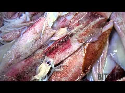 Tenderising Calamari
