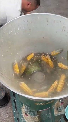 Grass Crushing & Pellets Making Process 🌿🔥 Biomass Pellet Production Machine