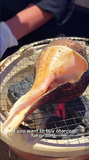 How Chefs Cook a Super Giant Whelk #foodvlog
