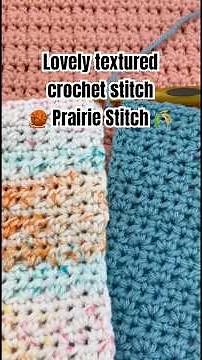 Easy Prairie Stitch Crochet Tutorial 🌾 | Beginner-Friendly Pattern 🧶 #crochet #shorts