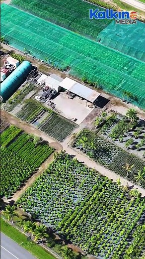 Agriculture forecast to hit record $101b despite drought