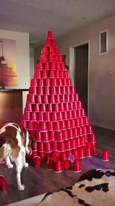 Essential Photography Techniques Every Photographer Should Know