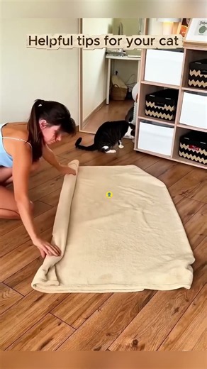 🐱✨ 5 Smart Cat Hacks Every Cat Owner Should Know! #shorts #cats #pethacks