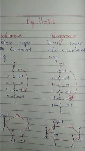 Class 11| Biology | Chapter 2| Classification of carbohydrate Monosaccharide| biological instruction
