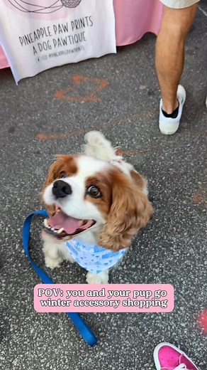 These pups understood the assignment! ☺️ Get your pup ready for the holidays. Shop Pineapple Paw Prints! ⬇️ 🐾 Tomorrow: 11/14/25 @chascitymarket Night Market from 10a.m.-10p.m. 🐾 Shop online: ( 🔗 LINK IN BIO ) … #DogBandanas #DogAccessories #DogApparel #WomenOwned #ShopSmall #SmallBusiness | Pineapple Paw Prints