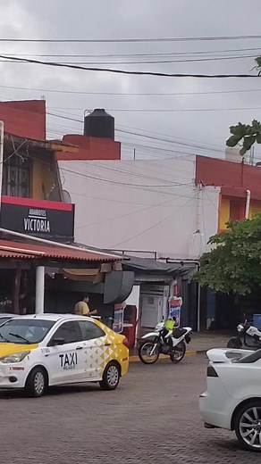 De Melaque directo a pto vallarta 🚍 | Ola Melaque-Souvenirs