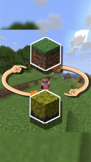 This Server Adds A New Plague Dimension! #minecraft #smp