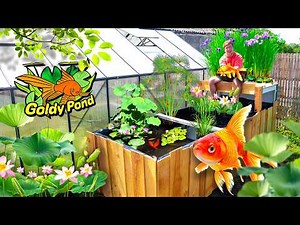 Expanding the CATFISH GREENHOUSE with a new POND! GoldyPond EP1