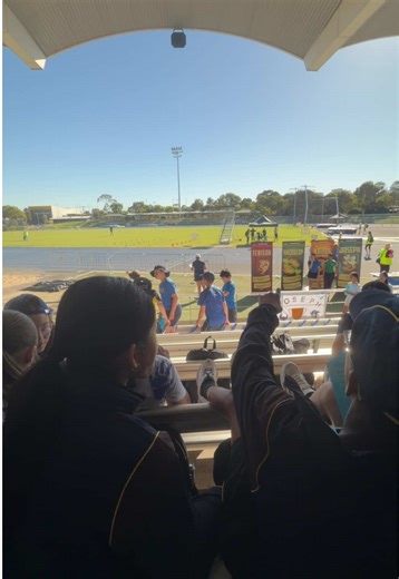 Dogs Enjoy Sports Day Fun
